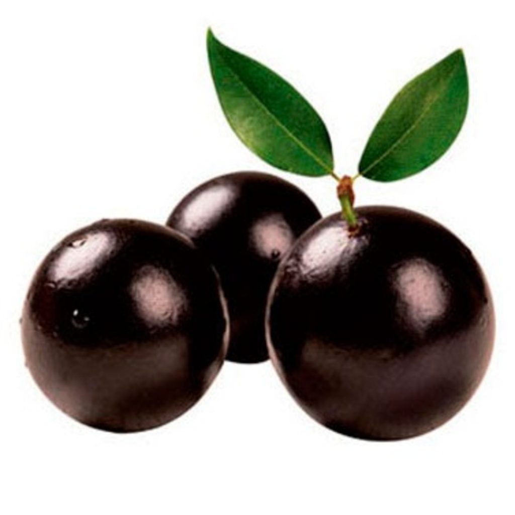 JABUTICABA