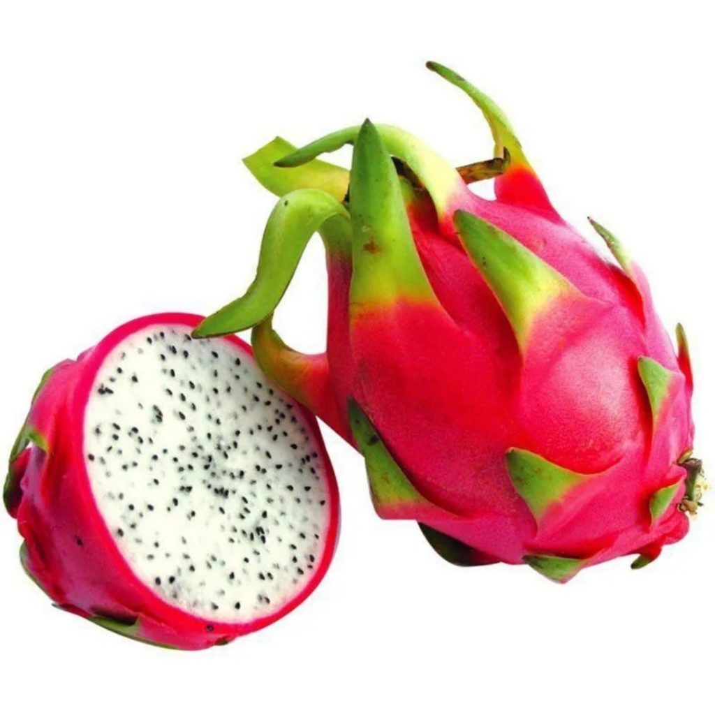 PITAYA BRANCA