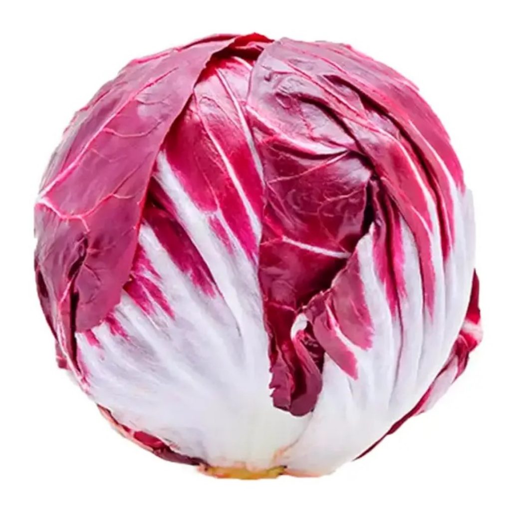 RADICCHIO